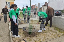 Летница - СУ „Бачо Киро“ - залесяване