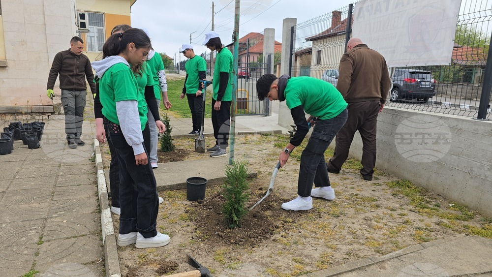 Летница - СУ „Бачо Киро“ - залесяване