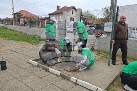Летница - СУ „Бачо Киро“ - залесяване