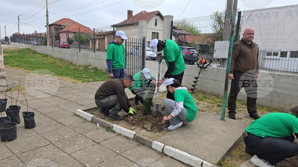 Летница - СУ „Бачо Киро“ - залесяване