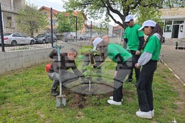 Летница - СУ „Бачо Киро“ - залесяване