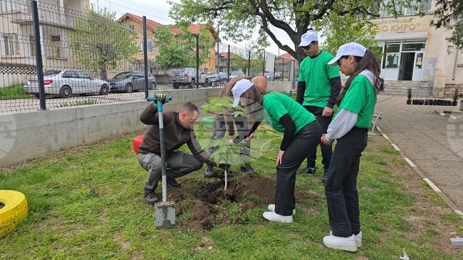 Летница - СУ „Бачо Киро“ - залесяване
