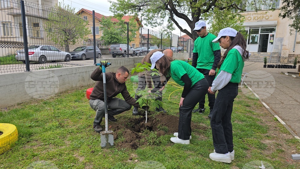 Летница - СУ „Бачо Киро“ - залесяване