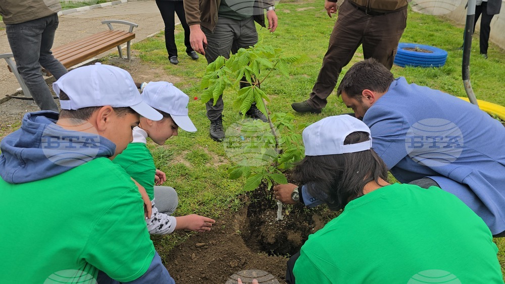 Летница - СУ „Бачо Киро“ - залесяване