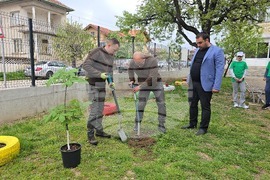 Летница - СУ „Бачо Киро“ - залесяване