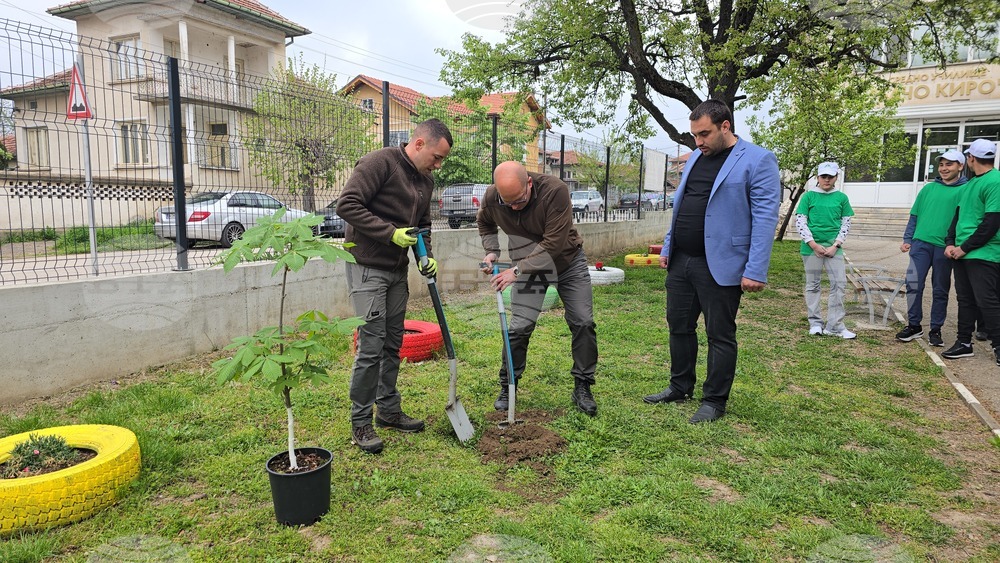 Летница - СУ „Бачо Киро“ - залесяване