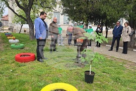 Летница - СУ „Бачо Киро“ - залесяване