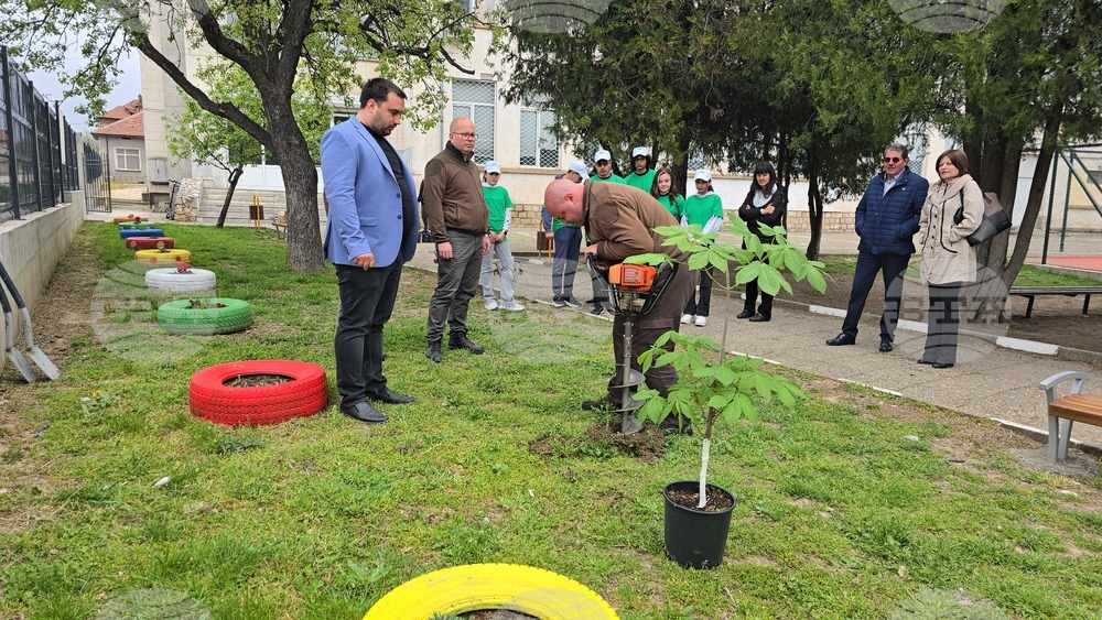 Летница - СУ „Бачо Киро“ - залесяване