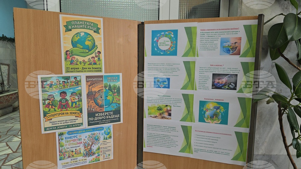 Летница - СУ „Бачо Киро“ - залесяване