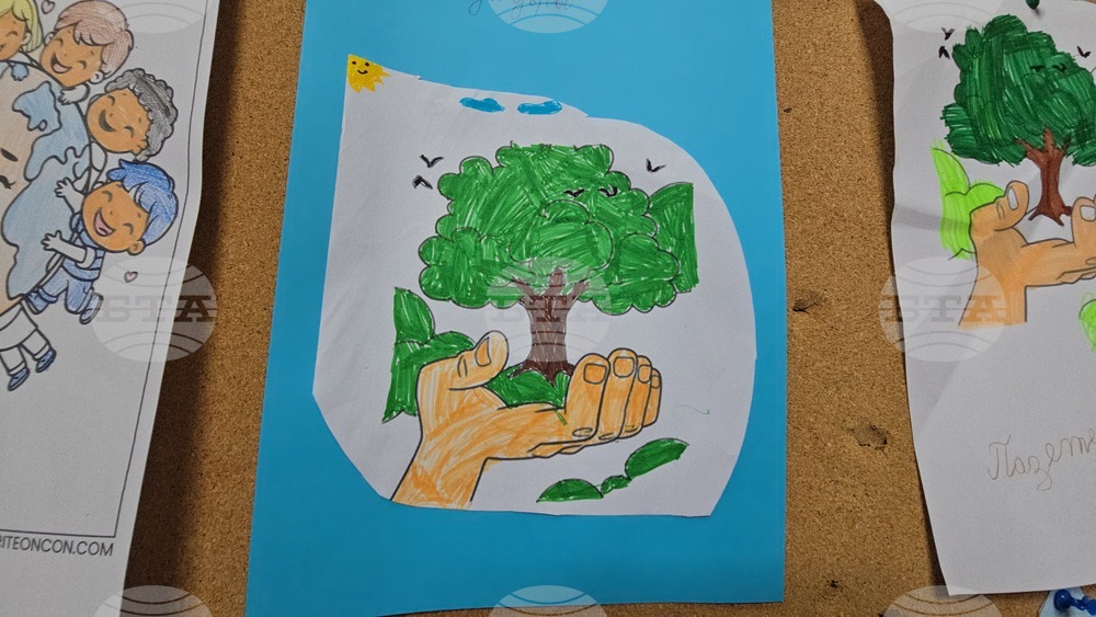 Летница - СУ „Бачо Киро“ - залесяване