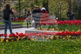 Столица - пролет - цветя