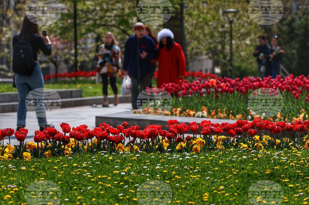 Столица - пролет - цветя