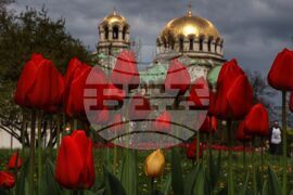 Столица - пролет - цветя