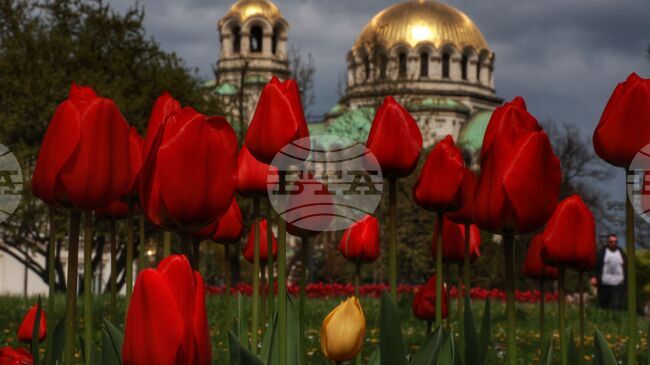 Прогноза за времето