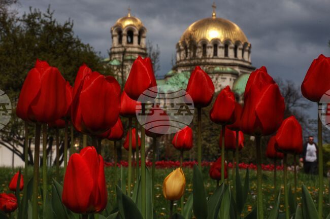 Прогноза за времето