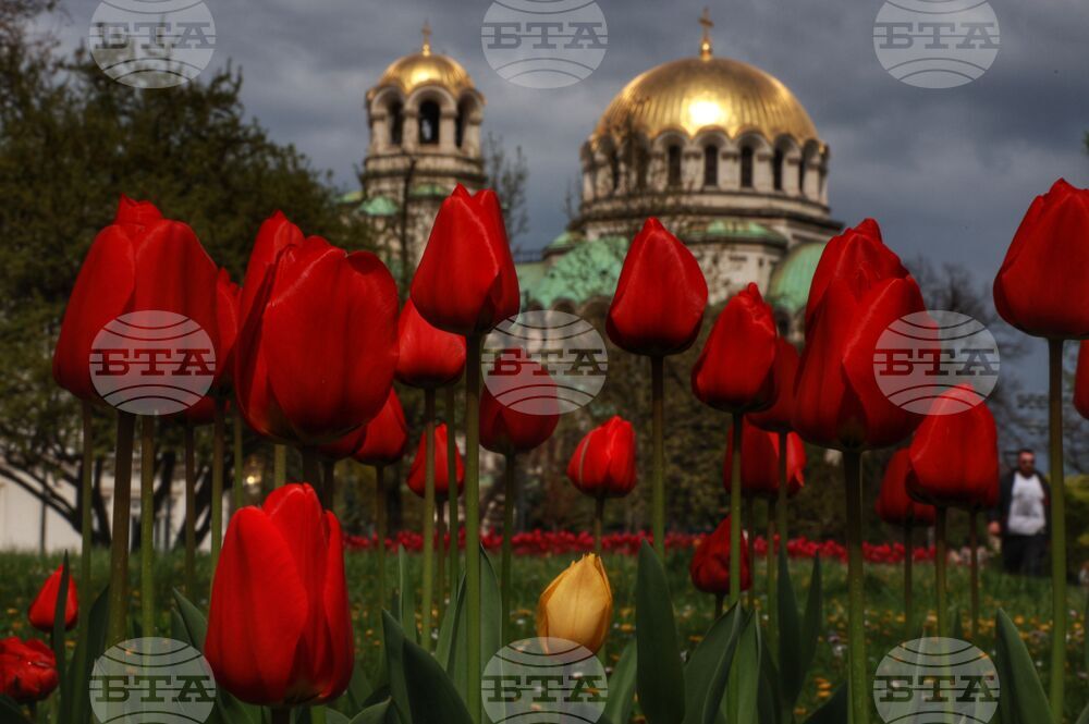 Столица - пролет - цветя