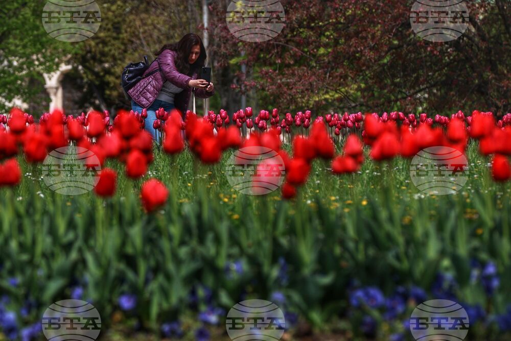 Столица - пролет - цветя