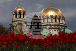 Столица - пролет - цветя