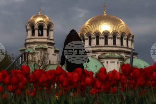 Столица - пролет - цветя