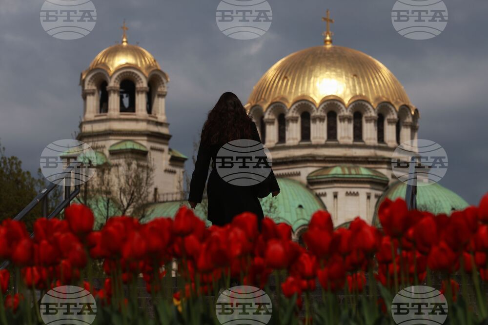 Столица - пролет - цветя