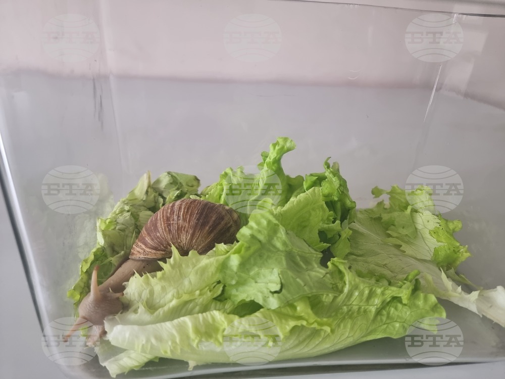 Стара Загора - Пето основно училище „Митьо Станев“ - STEM център