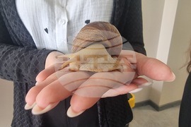 Стара Загора - Пето основно училище „Митьо Станев“ - STEM център