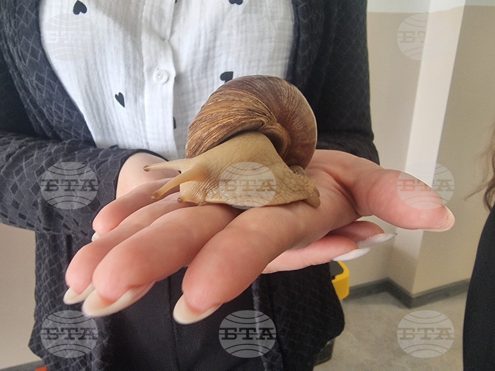 Стара Загора - Пето основно училище „Митьо Станев“ - STEM център