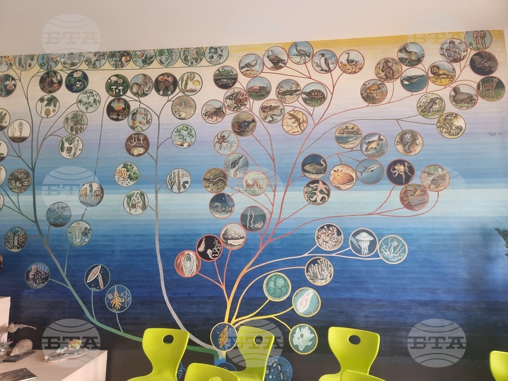 Стара Загора - Пето основно училище „Митьо Станев“ - STEM център