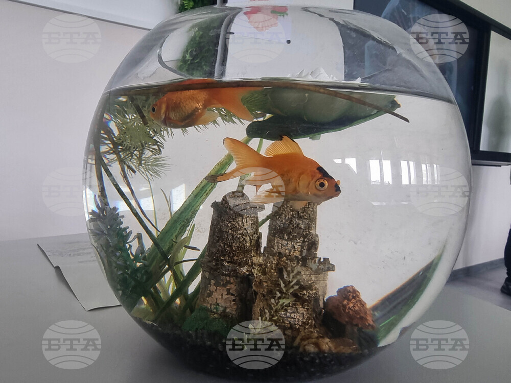 Стара Загора - Пето основно училище „Митьо Станев“ - STEM център