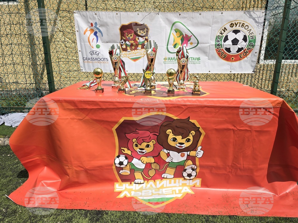 Плевен - футбол - „Училищни лъвчета“