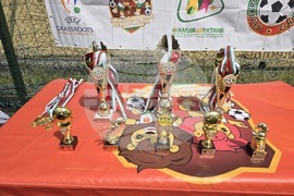 Плевен - футбол - „Училищни лъвчета“