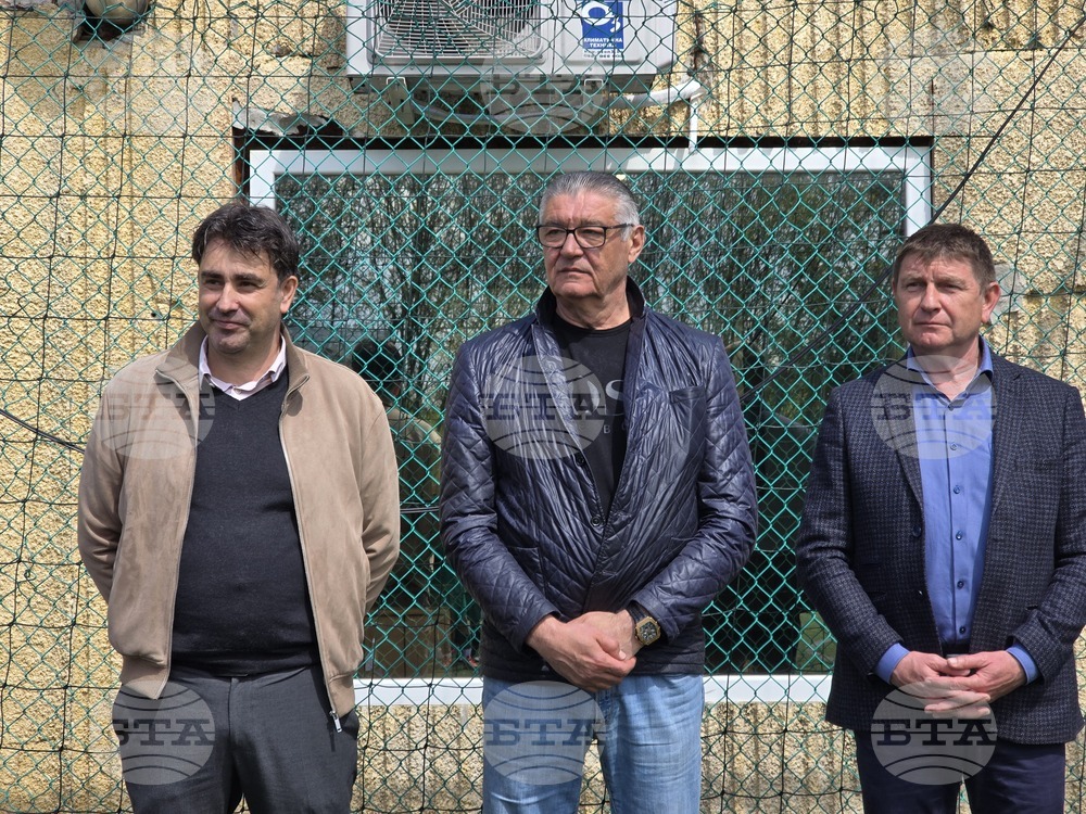 Плевен - футбол - „Училищни лъвчета“