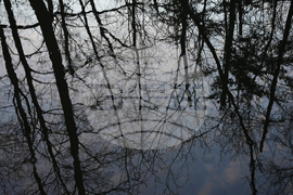 Climate Sewage River Impact