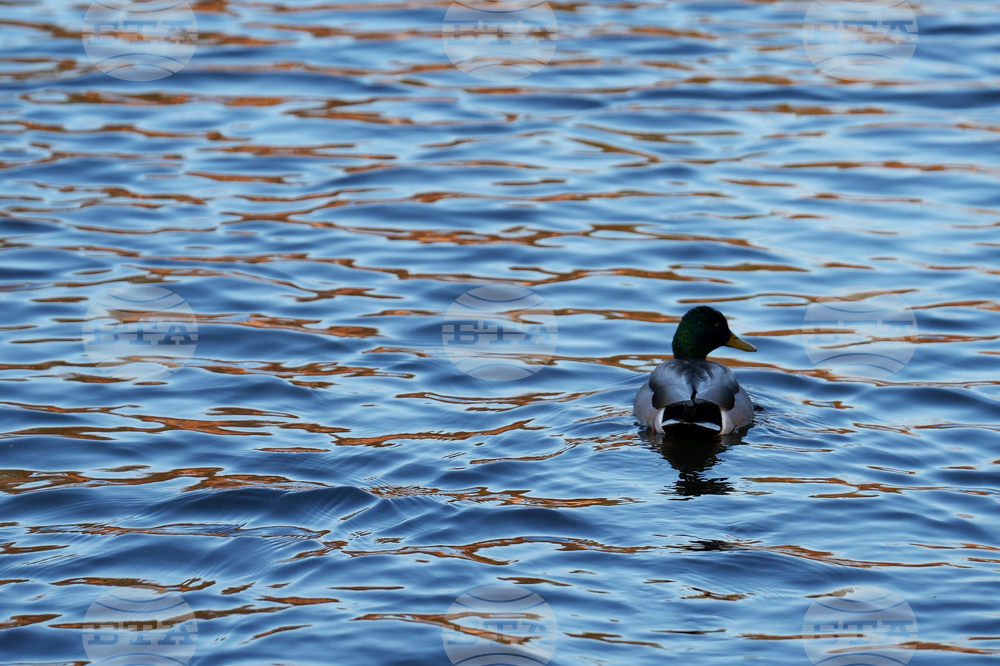 Climate Sewage River Impact