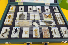 Летница - Средно училище „Бачо Киро“ - STEM център