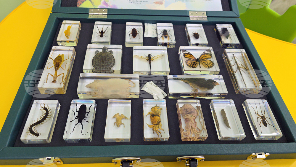 Летница - Средно училище „Бачо Киро“ - STEM център