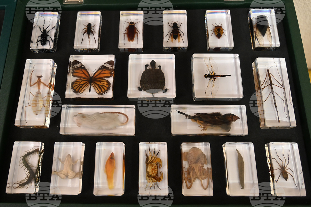 Монтана - СТЕМ-център - откриване