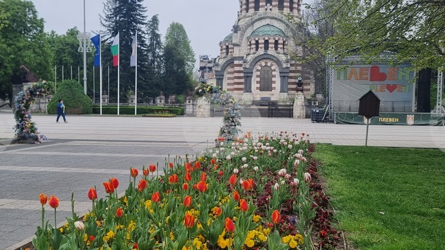 В община Плевен за три месеца 58 семейства са подпомогнати финансово по наредба за стимулиране на раждаемостта