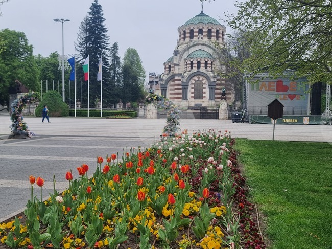 В община Плевен за три месеца 58 семейства са подпомогнати финансово по наредба за стимулиране на раждаемостта