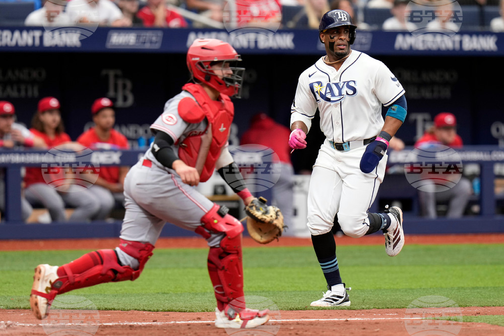 Reds Rays Baseball