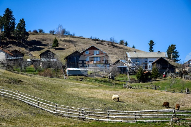 Село Бунцево - изглед