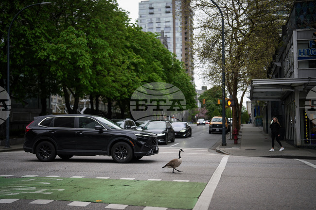 Vancouver Daily Life