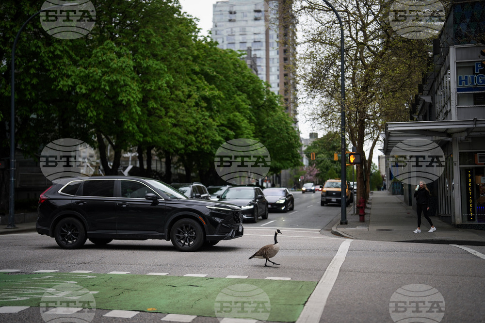 Vancouver Daily Life