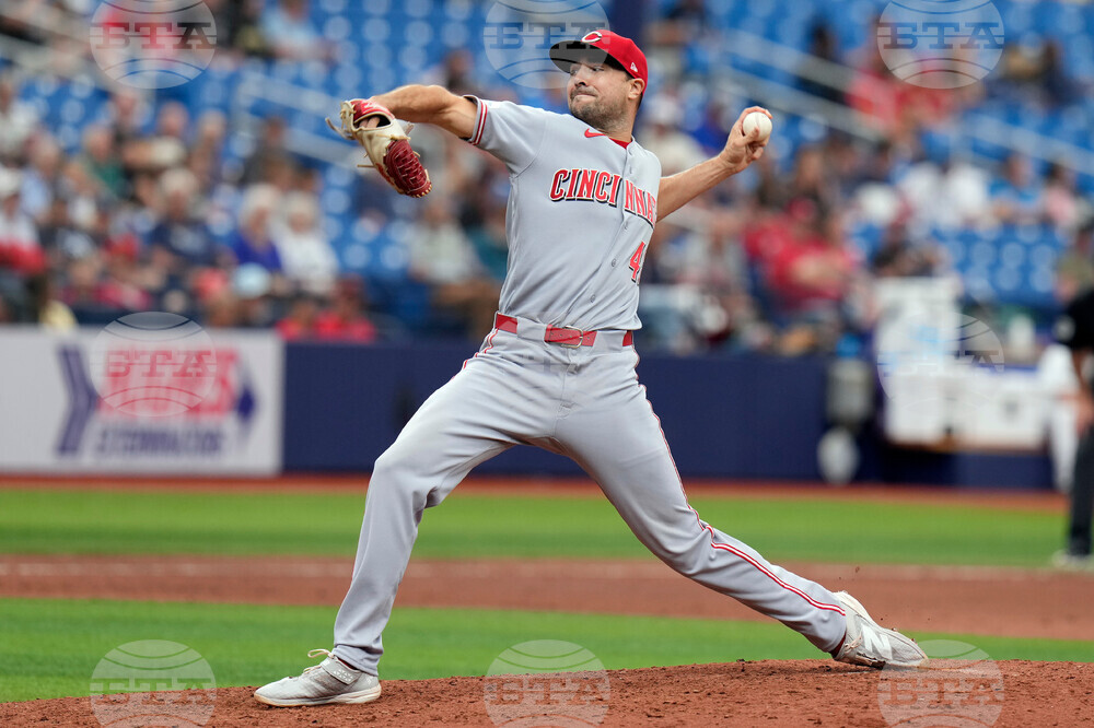 Reds Rays Baseball