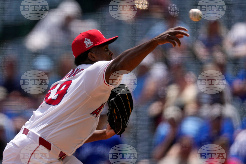 Blue Jays Angels Baseball