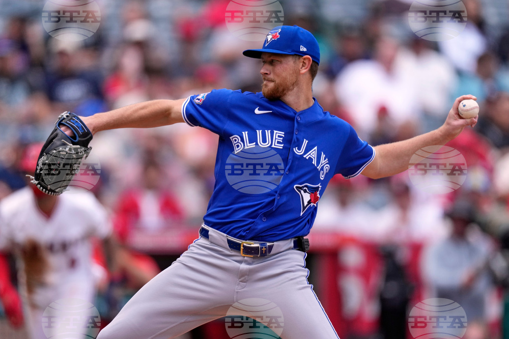 Blue Jays Angels Baseball