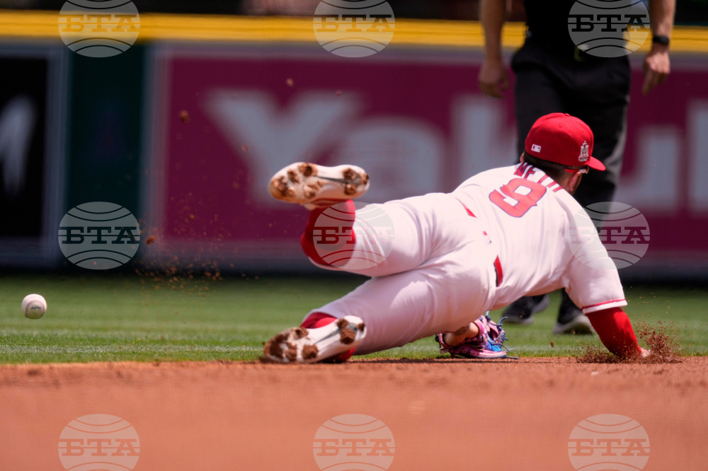 Blue Jays Angels Baseball