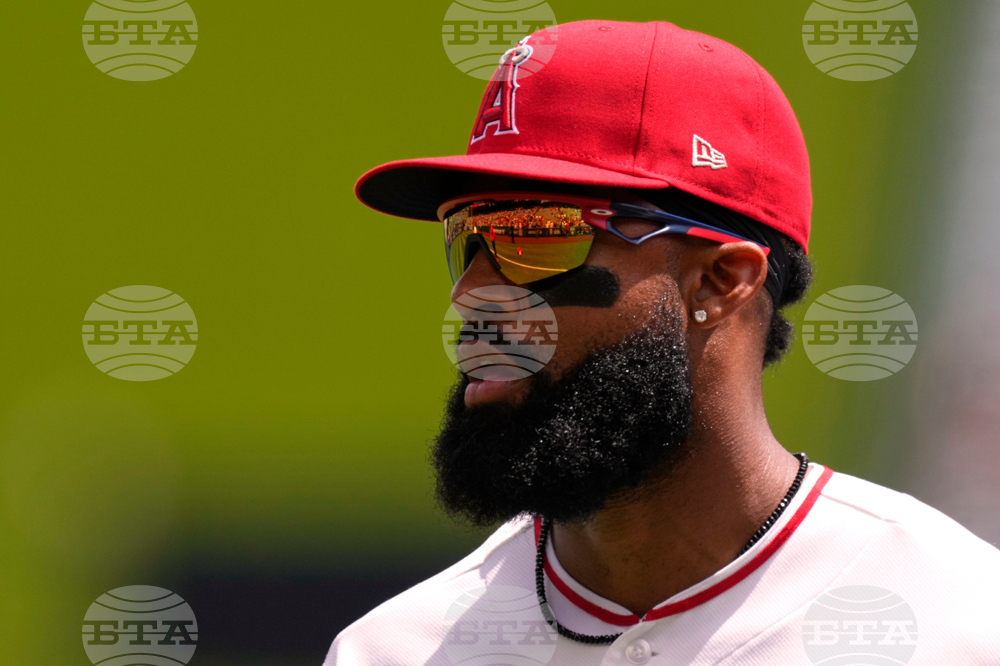 Blue Jays Angels Baseball