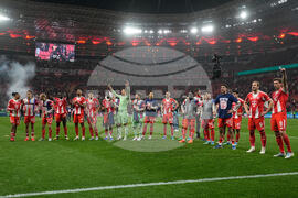 Germany Cup Soccer