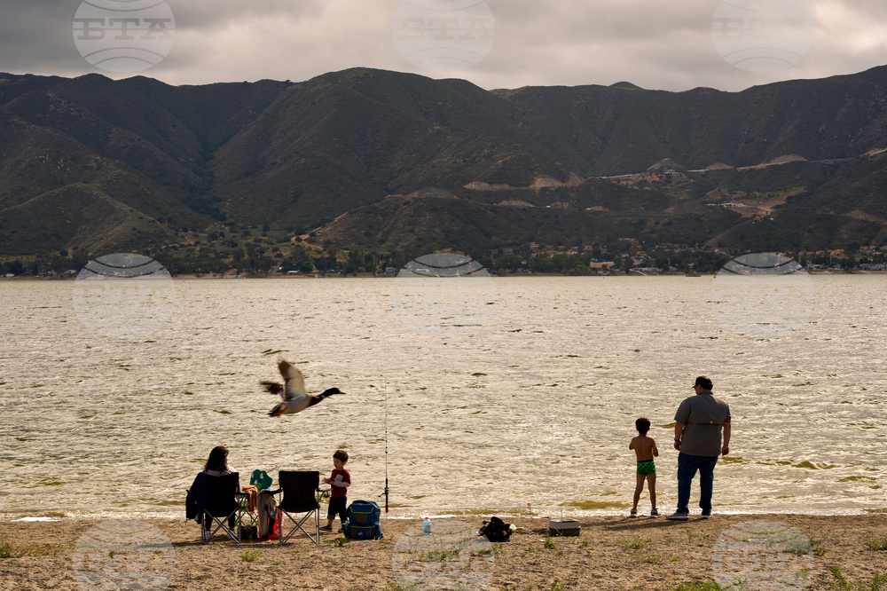 D4vd Celeste's Hometown